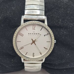Skagen SKW2284 Women Silver Stainless Steel Analog Dial Quartz Wrist Watch AM576